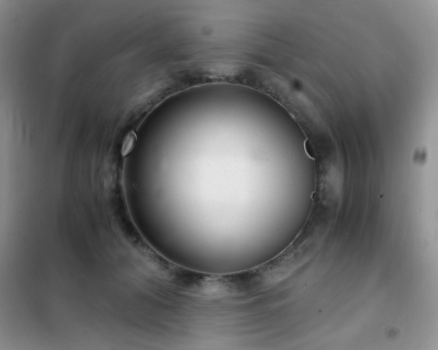 X0000102340608200808011142