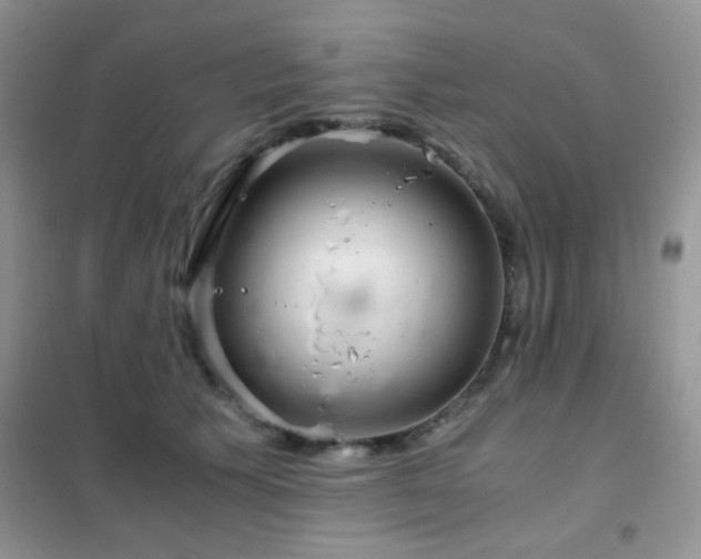 X0000102340609200808011142