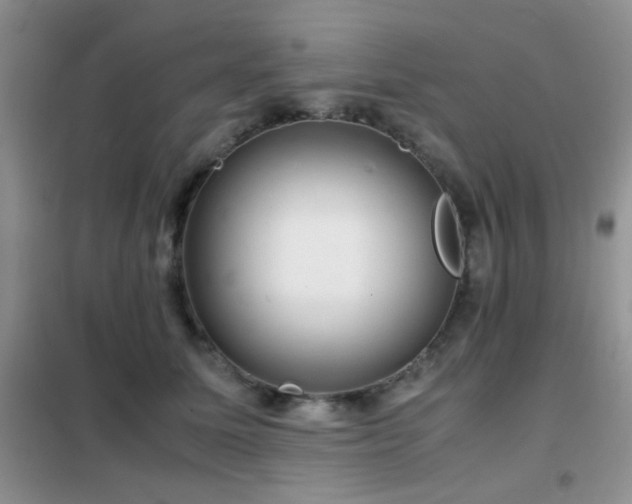 X0000102340611200808011142