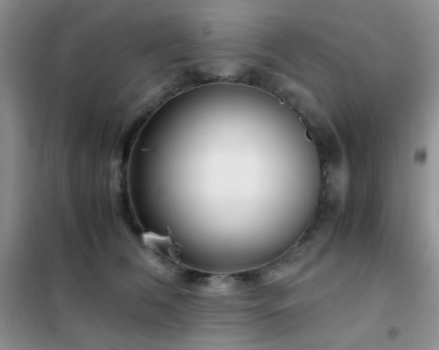 X0000102340612200808011142