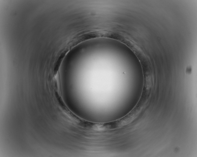 X0000102340613200808011142