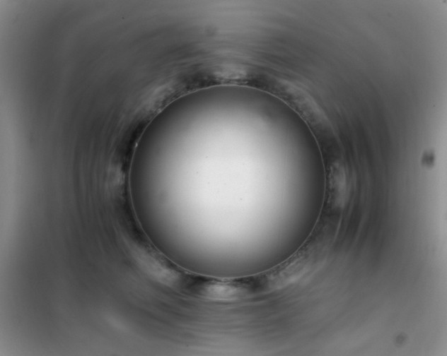 X0000102340614200808011142