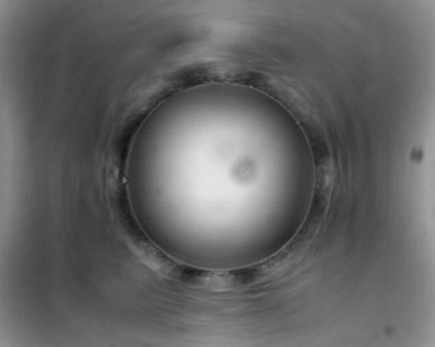 X0000102340615200808011142