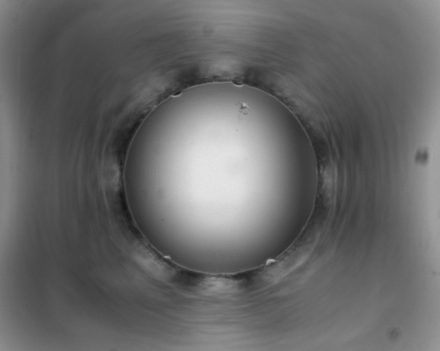 X0000102340617200808011142