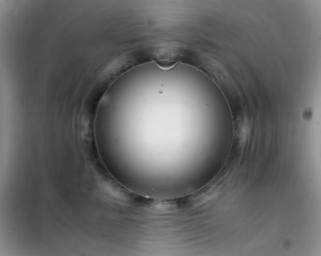 X0000102340619200808011142