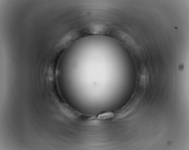 X0000102340620200808011142