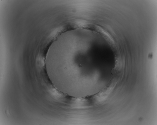 X0000102340621200808011142