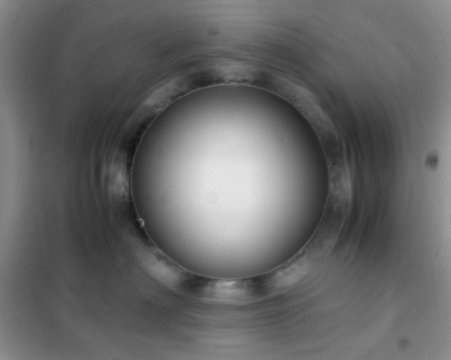 X0000102340622200808011142