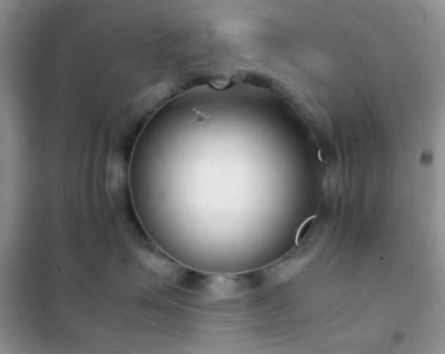 X0000102340623200808011142