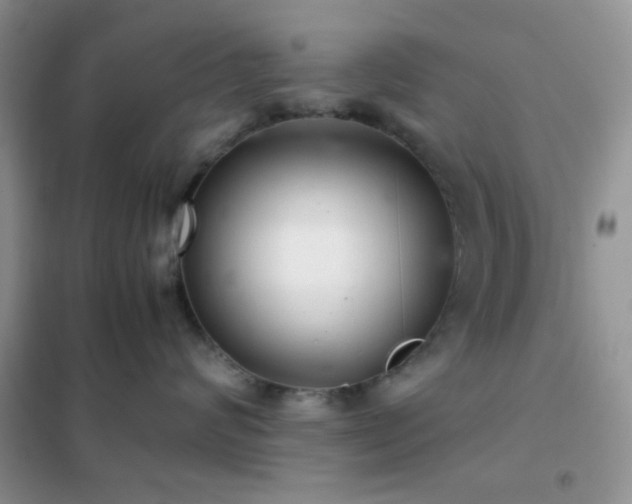 X0000102340624200808011142