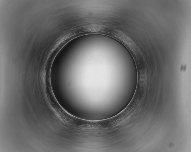 X0000102340626200808011141