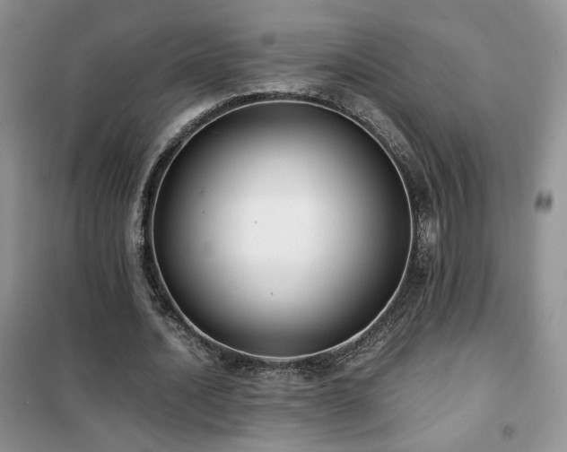 X0000102340628200808011141