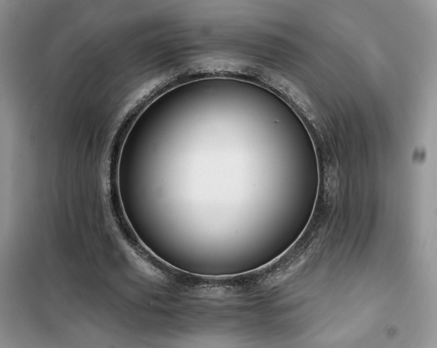 X0000102340629200808011141