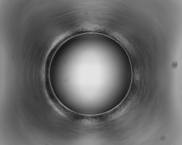 X0000102340630200808011141