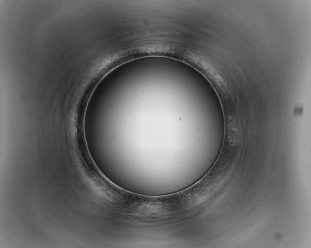 X0000102340631200808011141