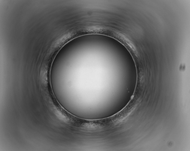 X0000102340633200808011141