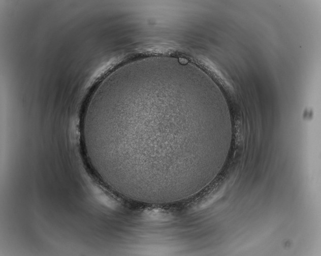 X0000102340634200808011141