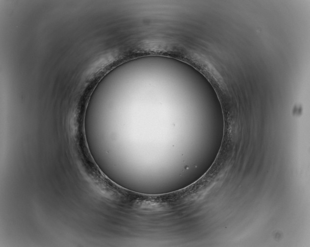 X0000102340635200808011141