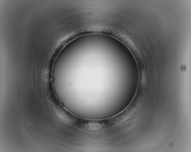 X0000102340636200808011141