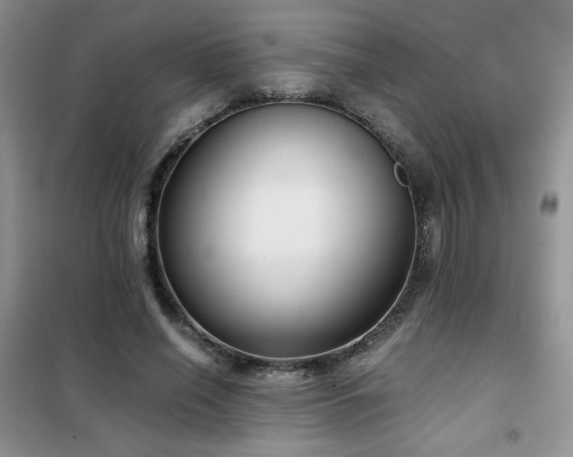 X0000102340638200808011141