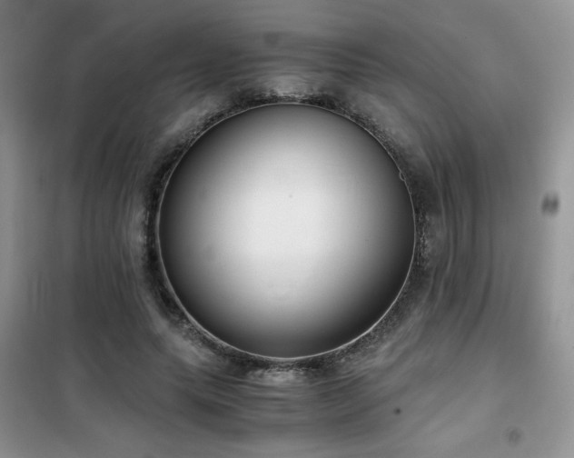 X0000102340639200808011141