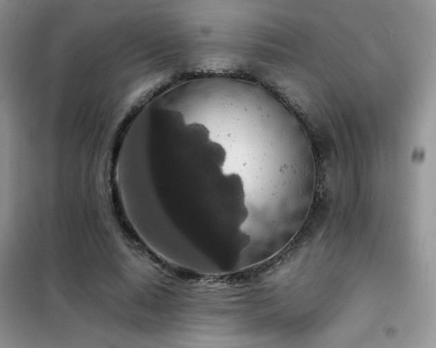 X0000102340640200808011141