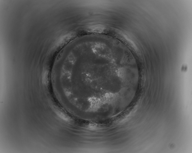 X0000102340641200808011141