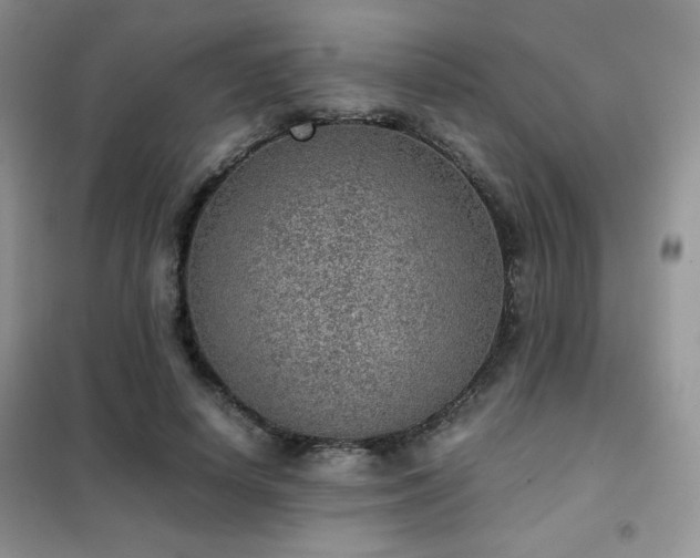 X0000102340642200808011141