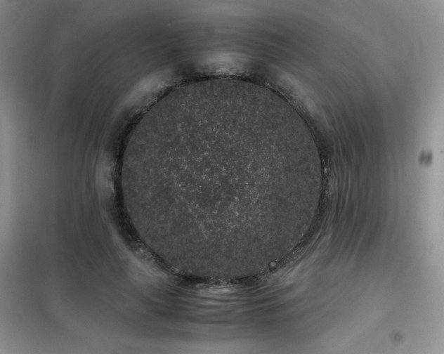 X0000102340643200808011141