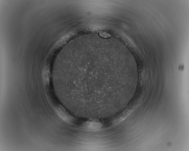 X0000102340644200808011141