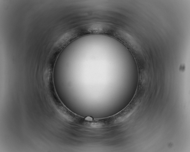 X0000102340645200808011141