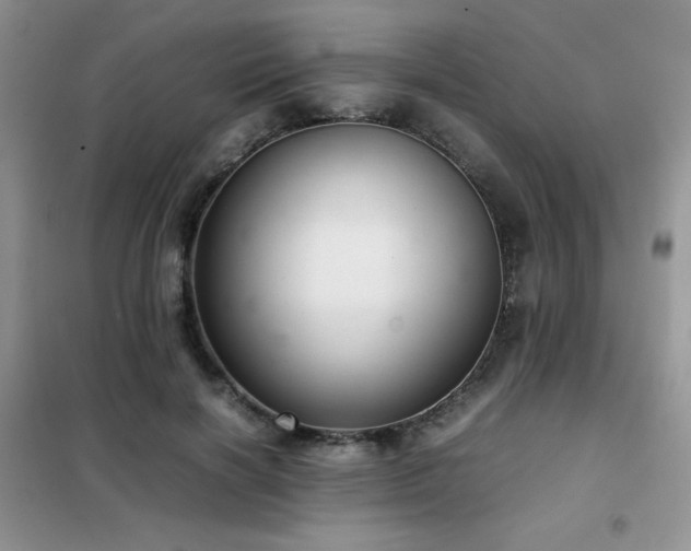 X0000102340646200808011142