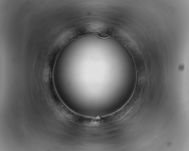 X0000102340647200808011142