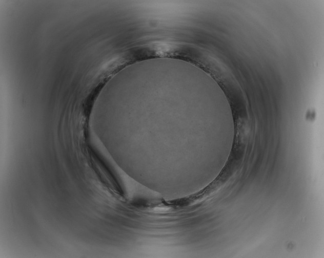 X0000102340650200808011142