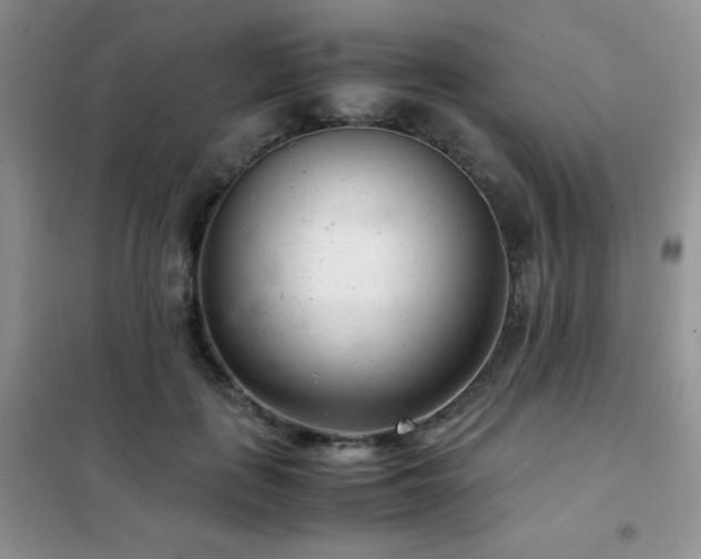 X0000102340651200808011142