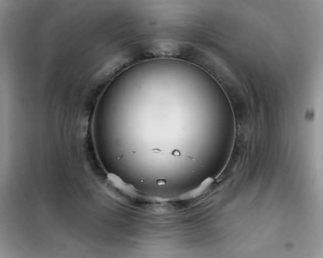 X0000102340652200808011142