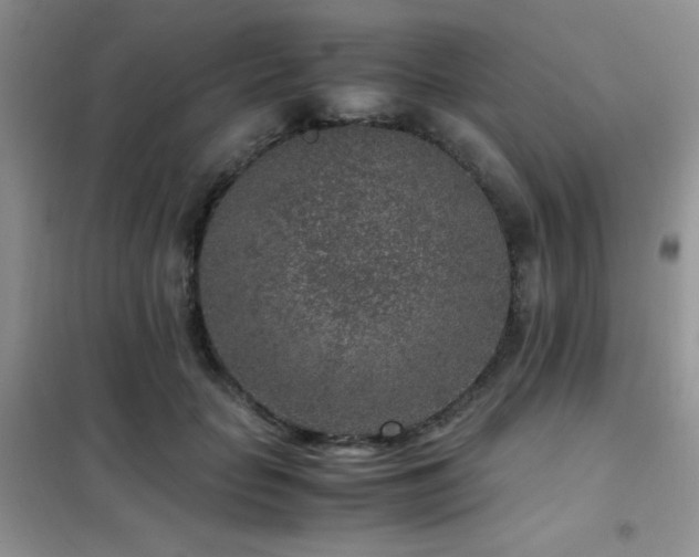 X0000102340653200808011142