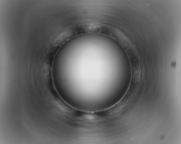 X0000102340654200808011142