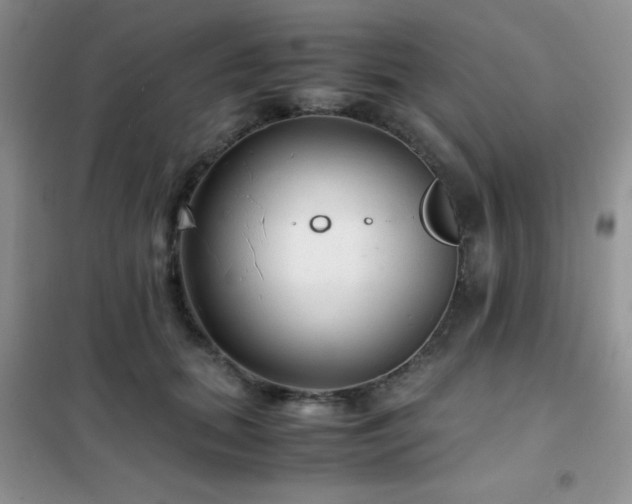 X0000102340655200808011142