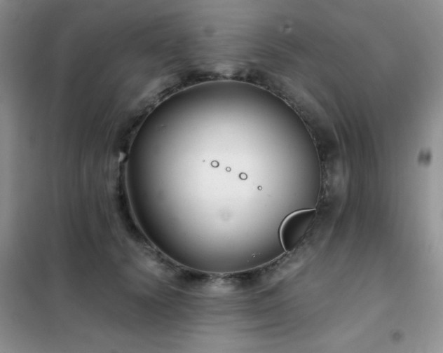 X0000102340656200808011142