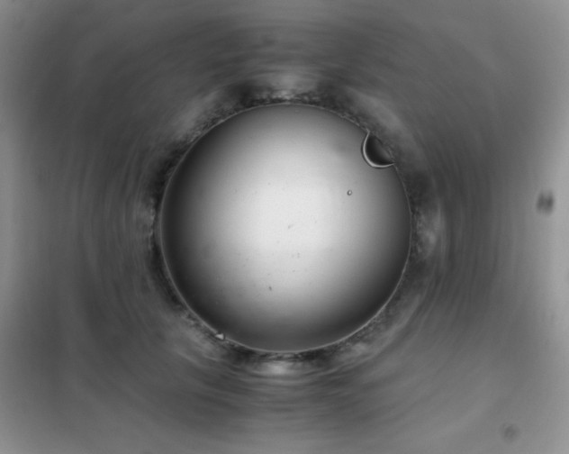 X0000102340657200808011142