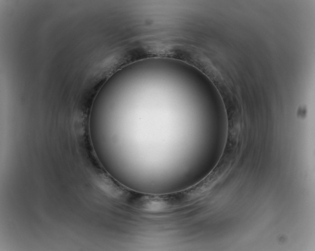 X0000102340658200808011142