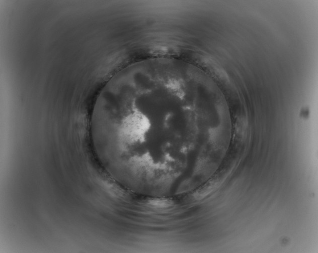 X0000102340659200808011142