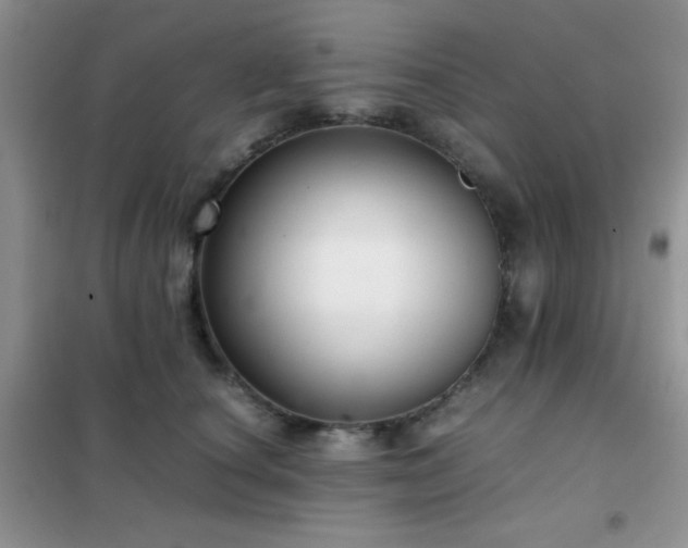 X0000102340660200808011142