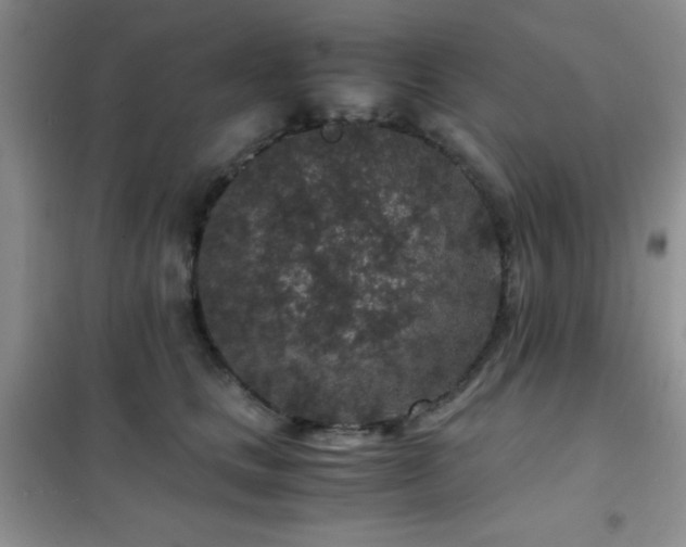 X0000102340661200808011142