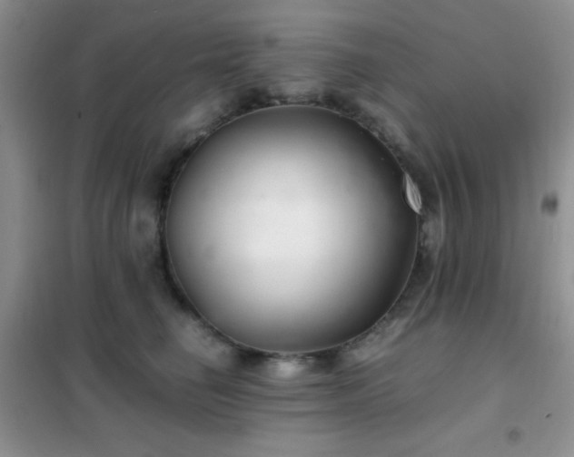 X0000102340662200808011142