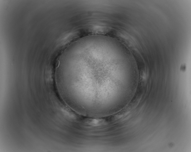 X0000102340663200808011142