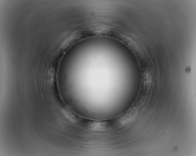 X0000102340664200808011142