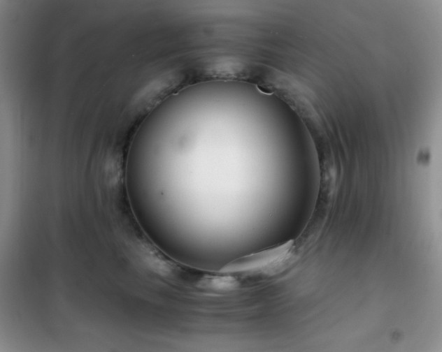 X0000102340665200808011142