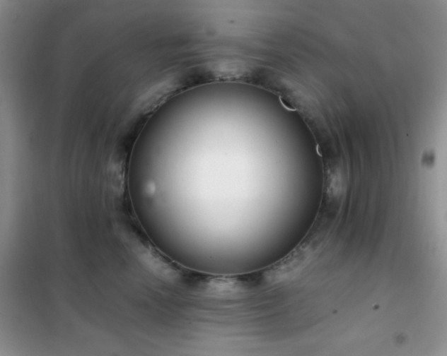 X0000102340666200808011142